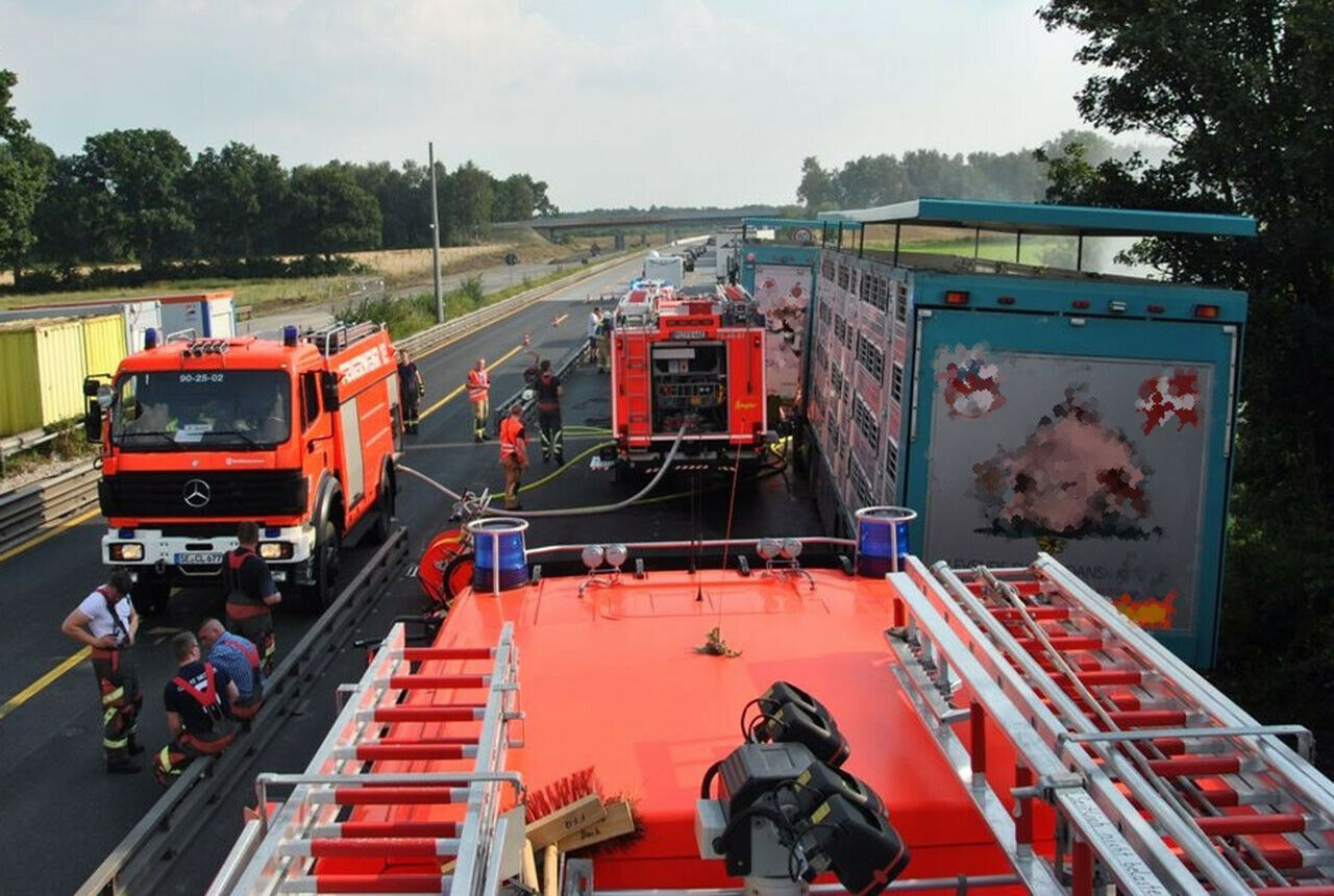 Der Stau hatte sich auf der A7 zwischen Quickborn und Hamburg gebildet, zwei Tiertransporter standen darin in praller Sonne