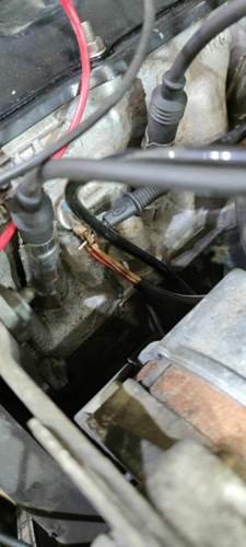 IMG_20210702_195848.jpg