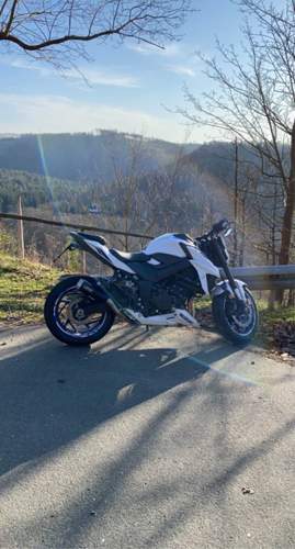 Suzuki GSX