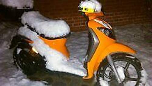 Schaetzchen-liberty-gestern-im-schnee