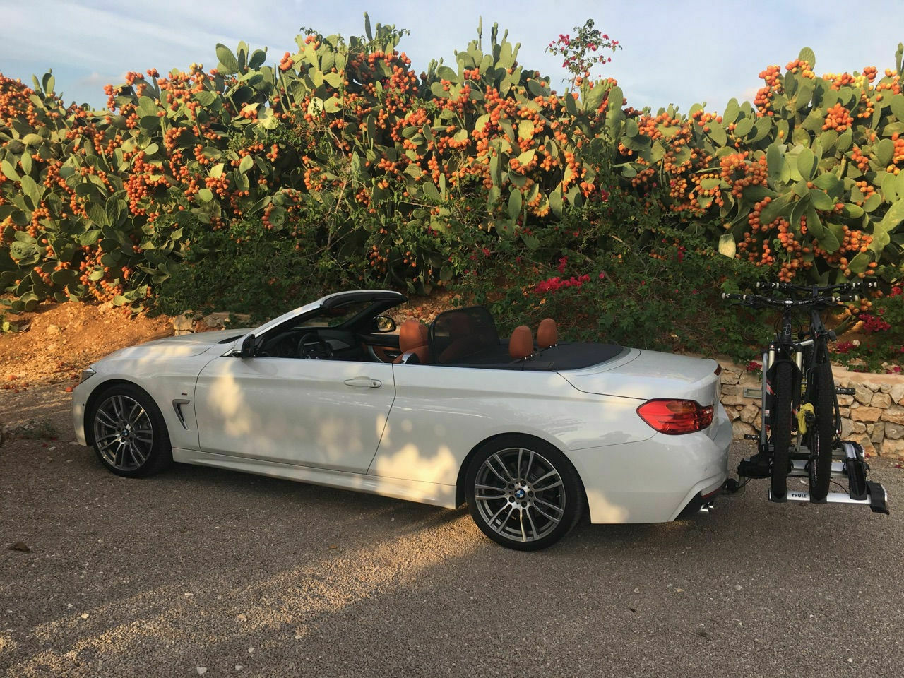 Kaufberatung BMW 4er Cabrio