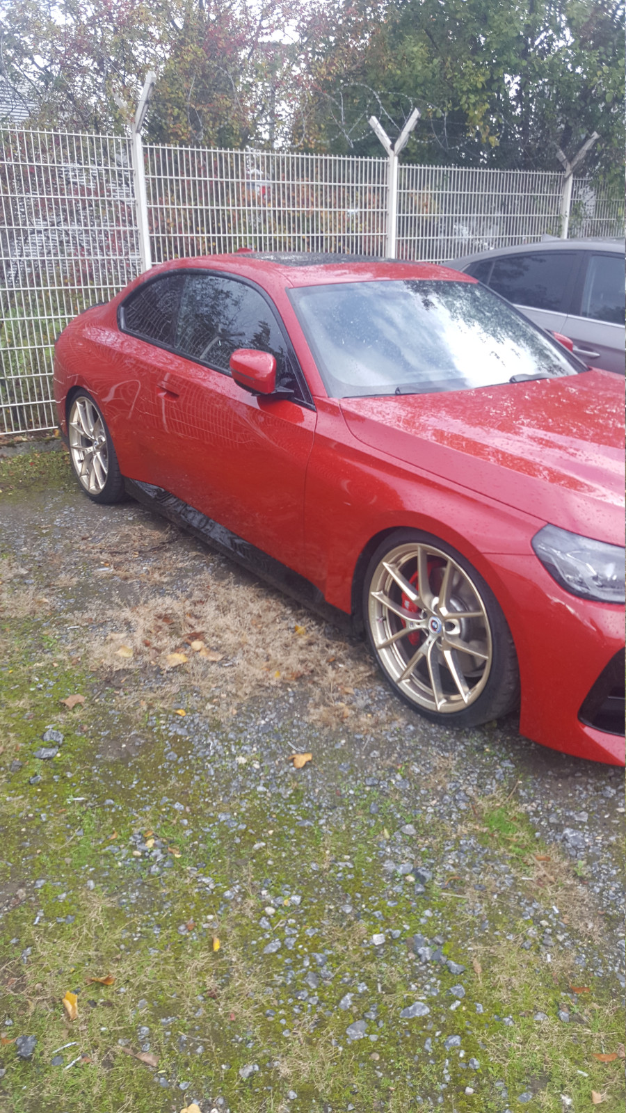 Kaufberatung BMW M240i - G42