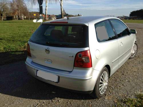 Polo-2