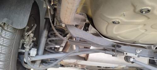 IMG_20220617_094151.jpg