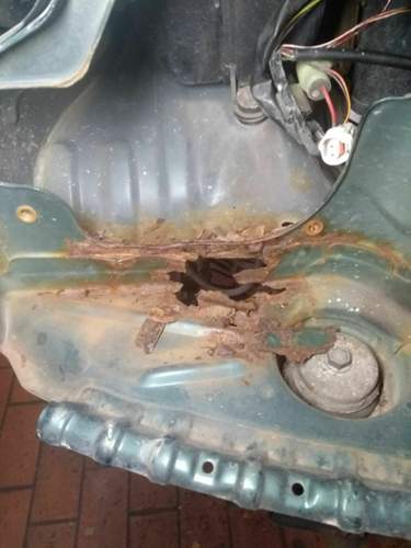 Rost-jimny