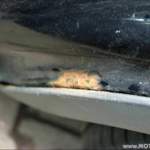 Carclean010