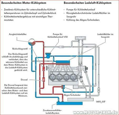Tsi-1