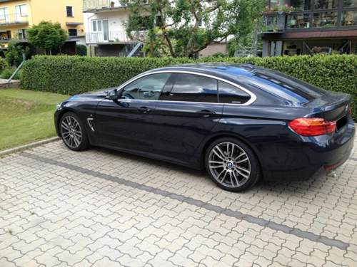 19" 403 M mit Schnitzer Federn