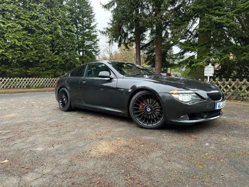 Alpina in 20.jpg