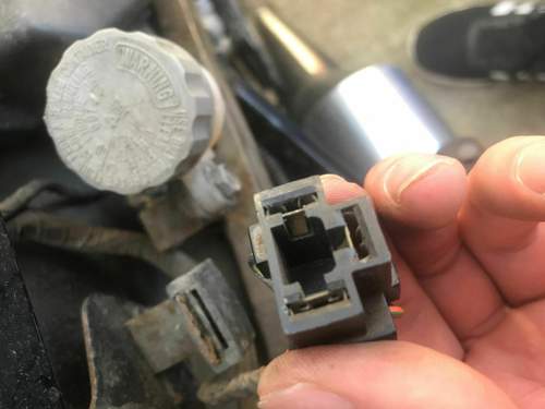 Stecker
