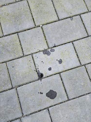 20240302_173706.jpg