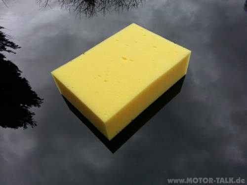 Kent Sponge