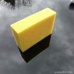 Kent Sponge