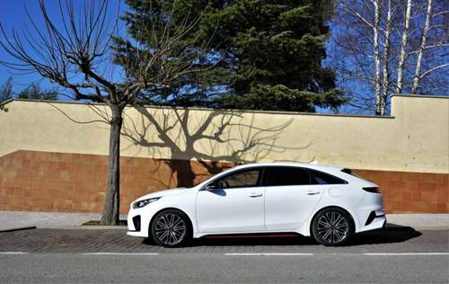 2e9483ace6adb1158e34dbb0fde438461355deb6-kia-proceed-gt-2019kia-proceed-gt-profile-baum-schatten1548236148
