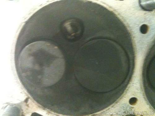 Img-0331