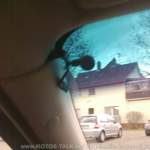 Mikrofon