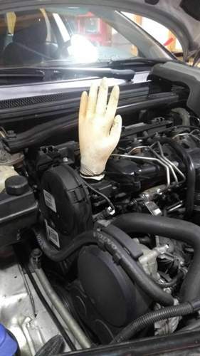 Handschutest.jpg