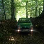 Der RX4 passt mit seinem Grün perfekt
