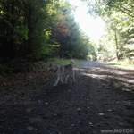 Licht und Schatten