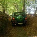 Tarnfarbe
