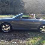 War mehr am Fahren als am Bilder machen :)
