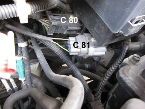 Stecker C 80 und C 81