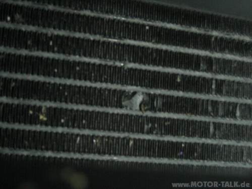 Img-1526