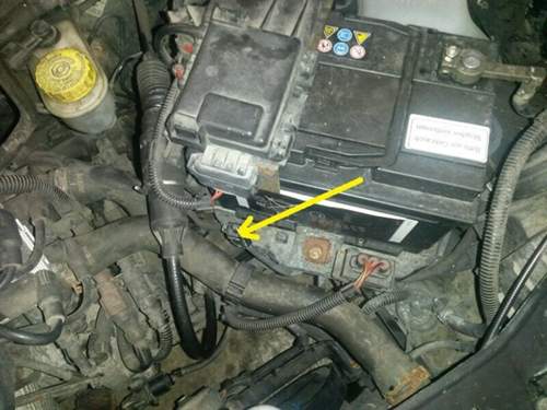Stecker