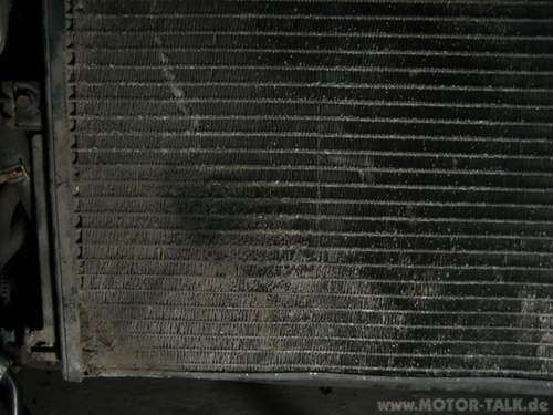 Img-4346