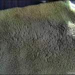 Carclean009