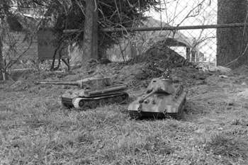 Königstiger