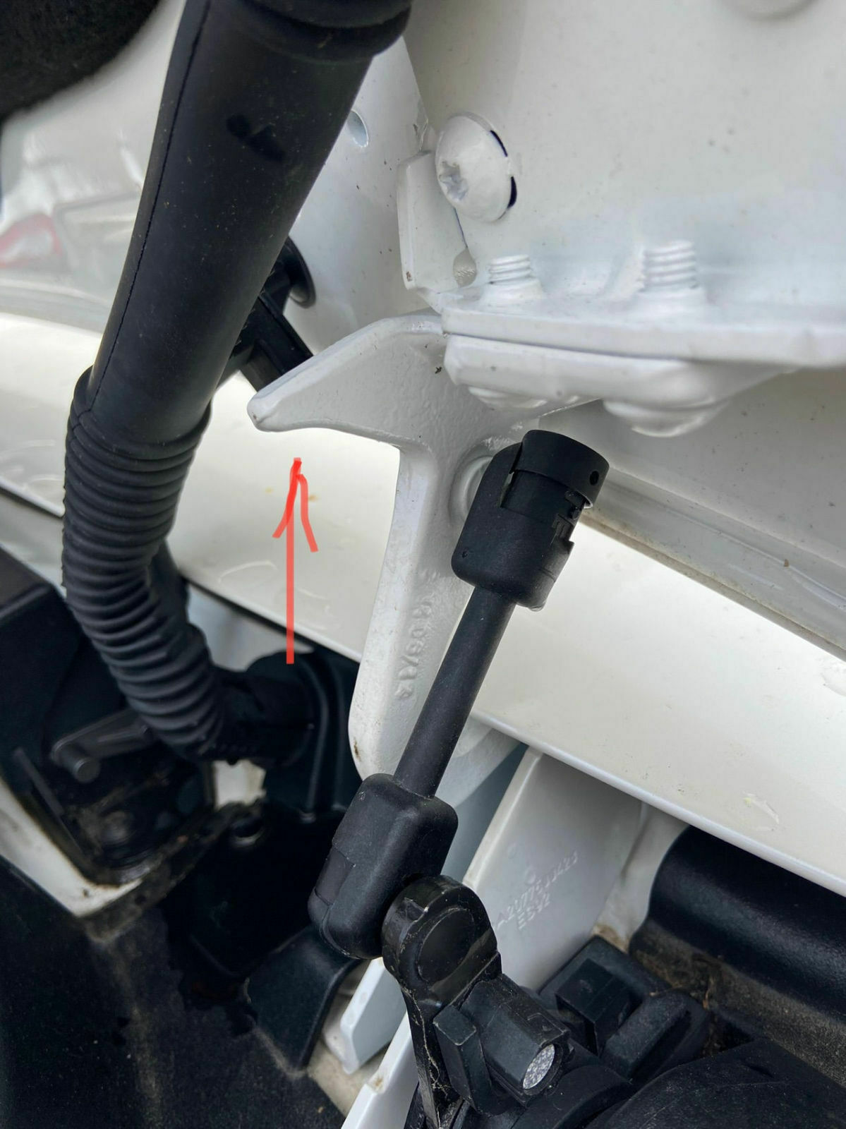Kofferraumdeckel automatische Öffnung reparieren