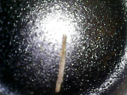 2020_01_11_18_51_28.png