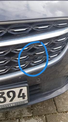 Insignia Kühlergrill