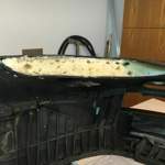 Img-4686
