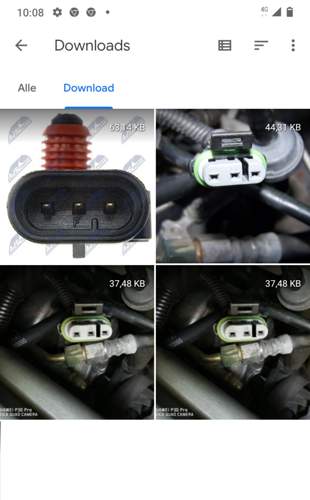 Screenshot runtergeladener Bilder