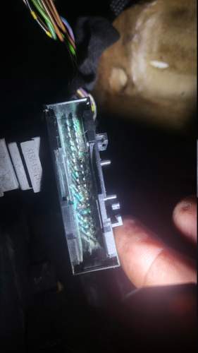 Stecker unter sicherungskasten.jpg