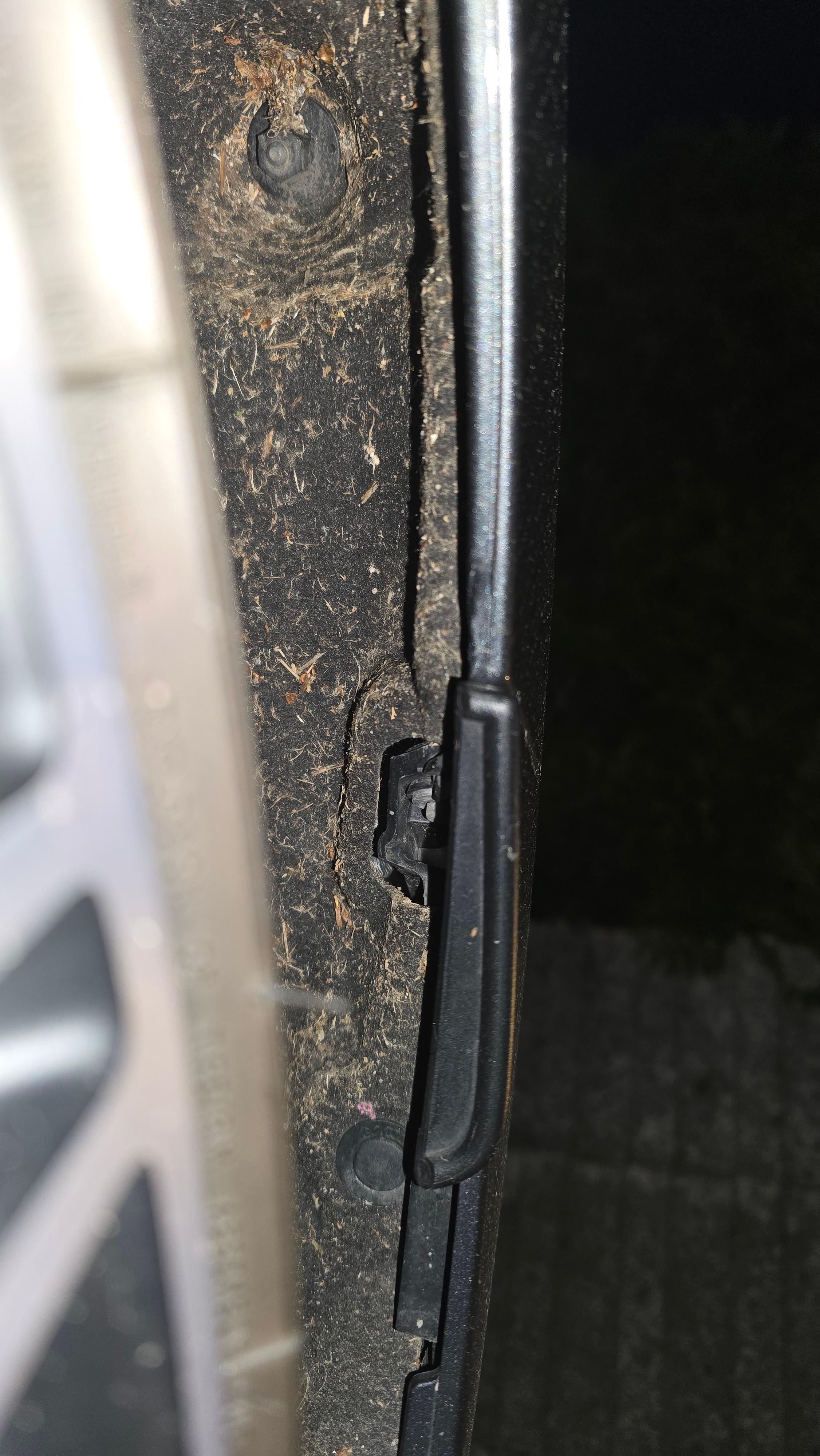 Kotflügelverbreiterung AMG