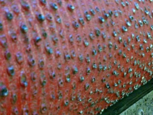 Img-20150122-00367