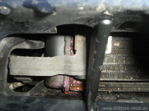 Img-0548-a