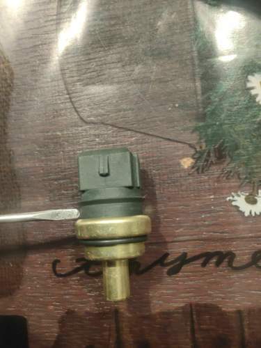 Kuehlmitteltemperatursensor.jpg
