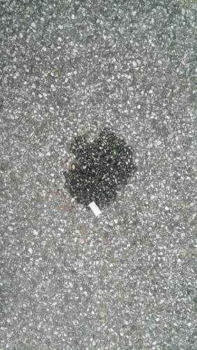 IMAG0161.jpg