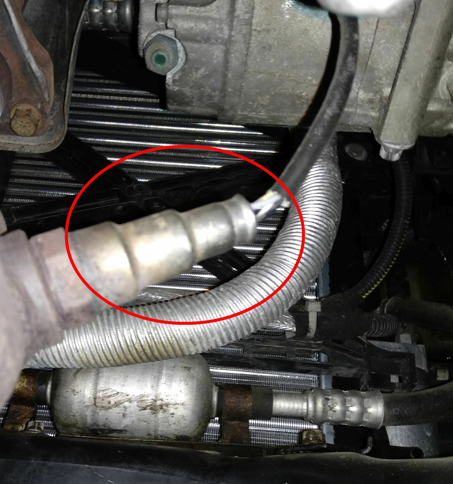 Kühlventilatoren springen nicht an / Astra G Caravan ohne Klima / Bj. 1998 / X17DTL Motor (1.7TD)