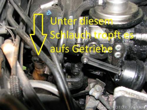 Img-4123