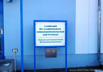Lebendig