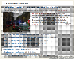 Polizeibericht20101029nn