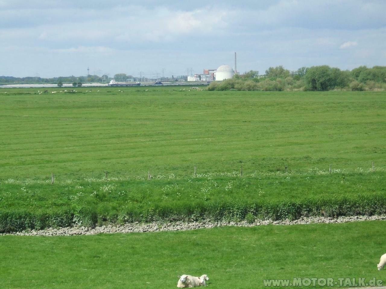 Kühlwasser oder Wärmwasser..? - Caddy-Forum OT