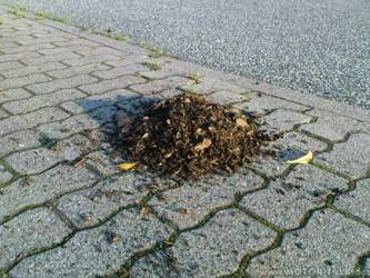 Wasserkastenfuellung