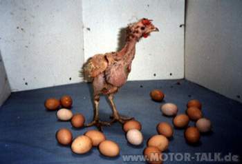 Frohe-ostern