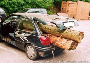 Holz